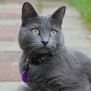 Meet your Posher, Julia